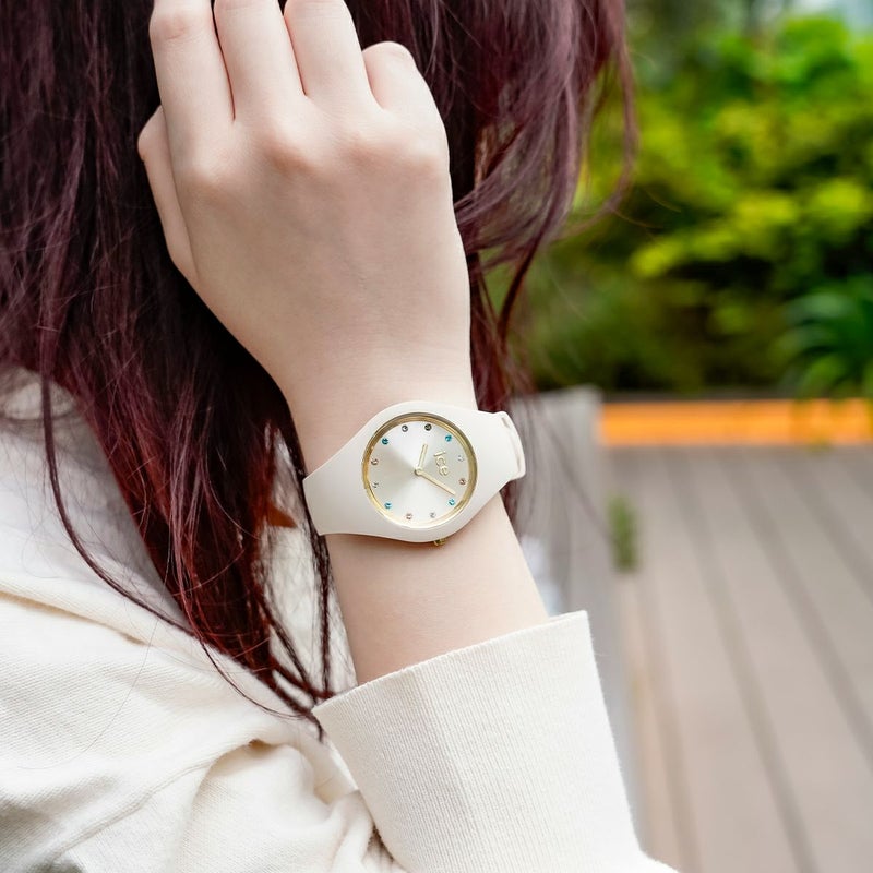 アイスコスモ バニラ スモールプラス